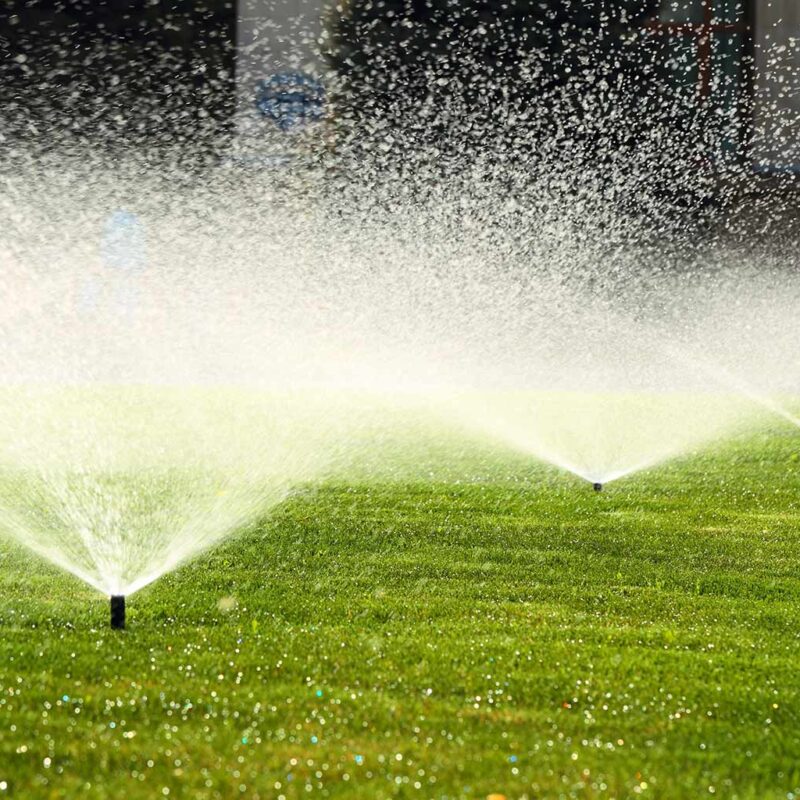 irrigation system watering a green lawn