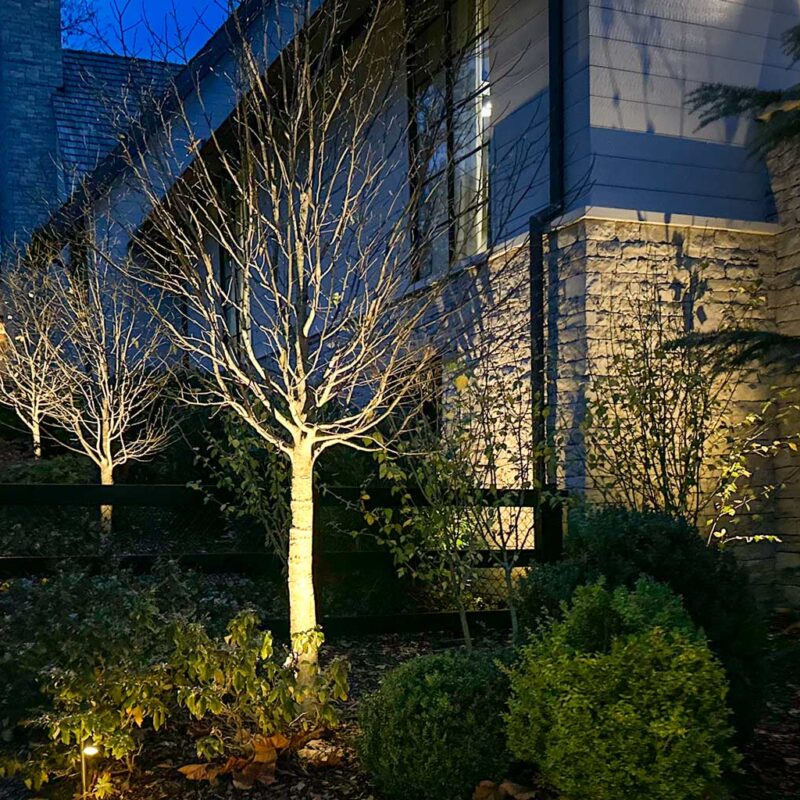 landscape uplights lighting wall and trees