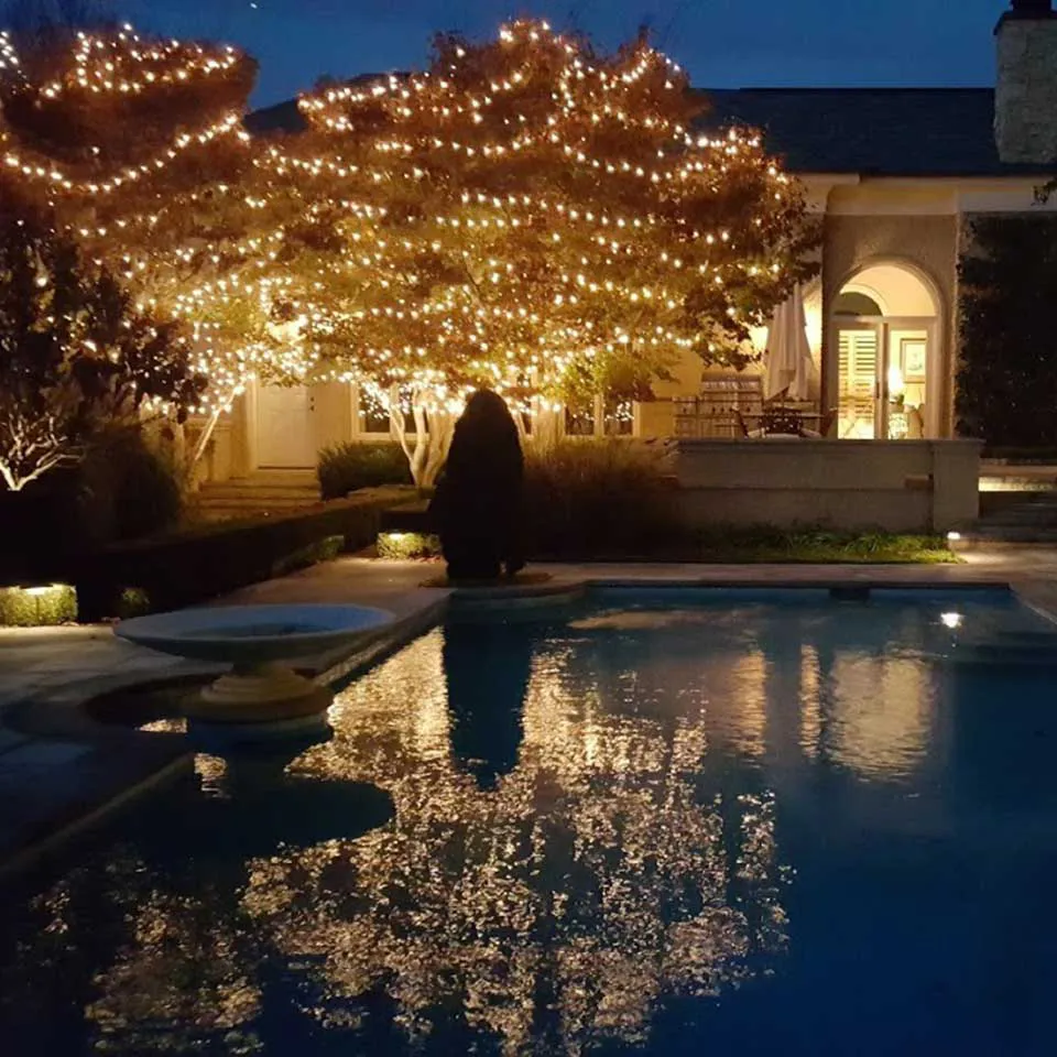 String lights illuminate trees around a swimming pool in a backyard.