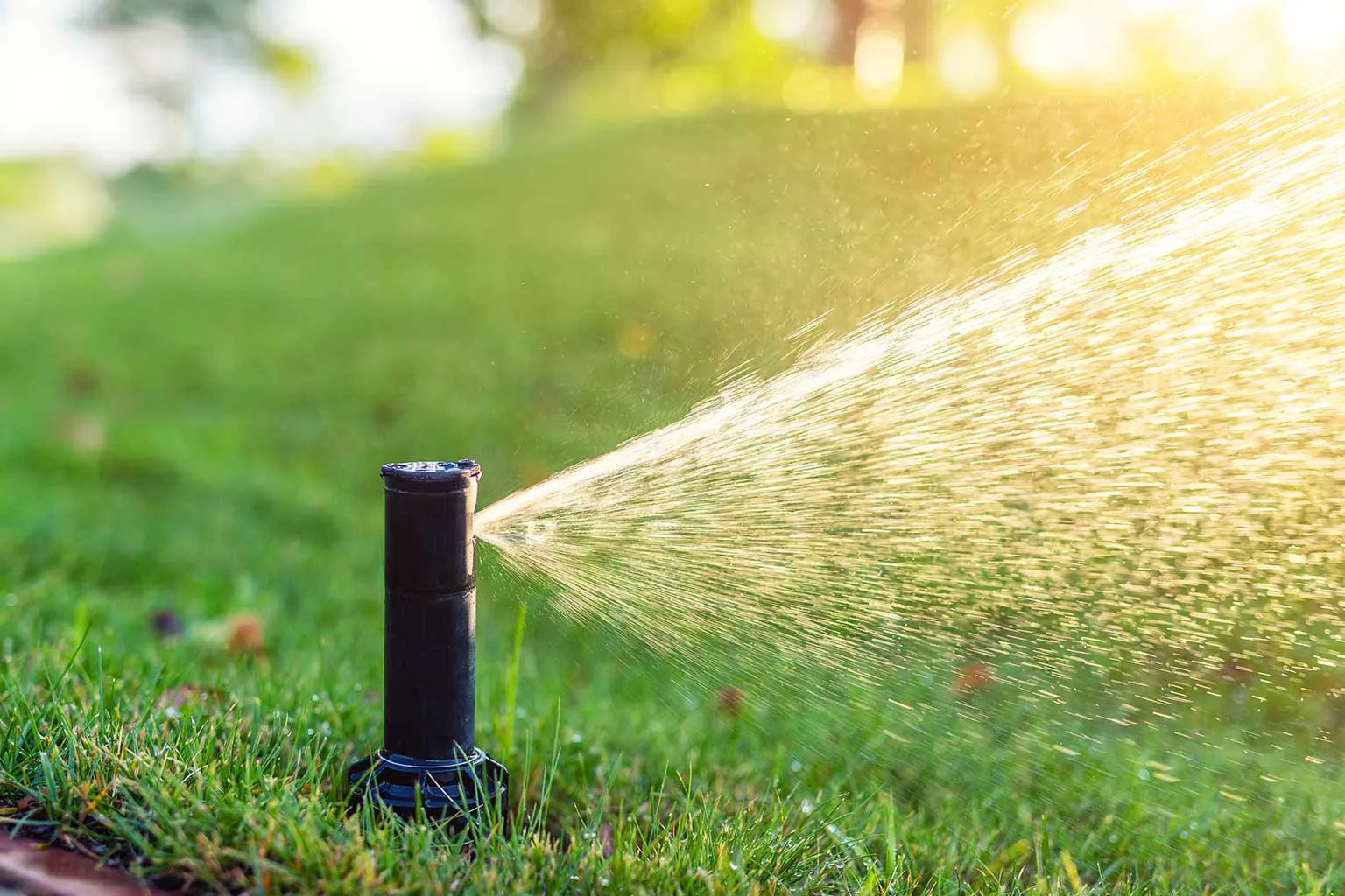 Irrigation system sprinkler watering a landscape lawn