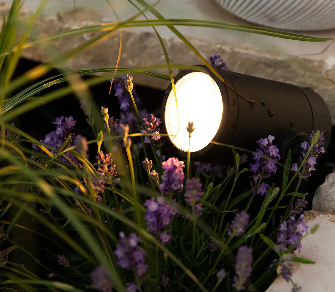 Landscape light fixture lighting an outdoor planter.