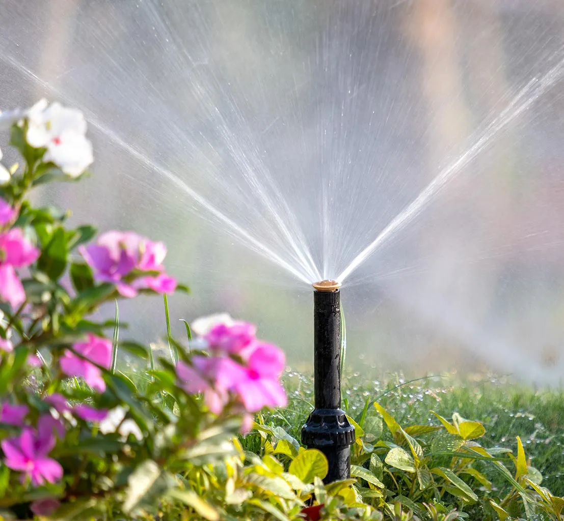 Landscape Irrigation system sprinkler watering flowers in a yard.