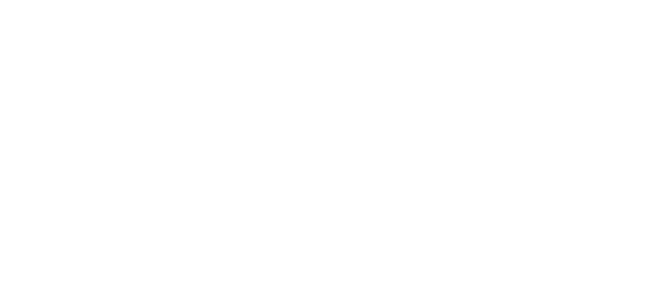 Aqueduct Irrigation / Southern Light logo