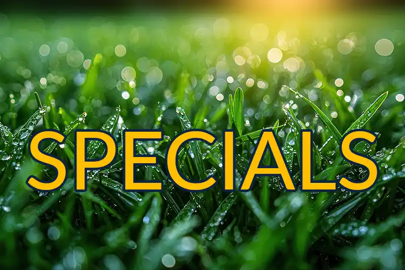 Special Offers