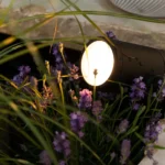 A professional outdoor landscape lighting fixture illuminates plants in a Nashville home's yard.