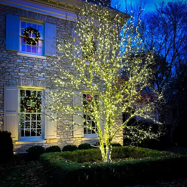 A Nashville, TN residence with professional Christmas or holiday lights