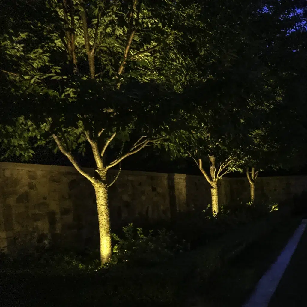 Trees at a Nashville residence are lit by a professional outdoor landscape lighting contractor.