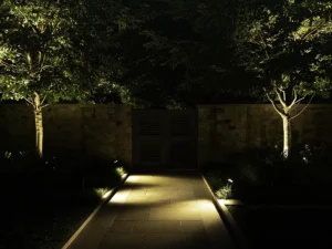 Sidewalk lit with professional landscape lighting in Nashville