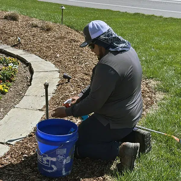 Professional landscape lighting contractor servicing an HOA's outdoor lights